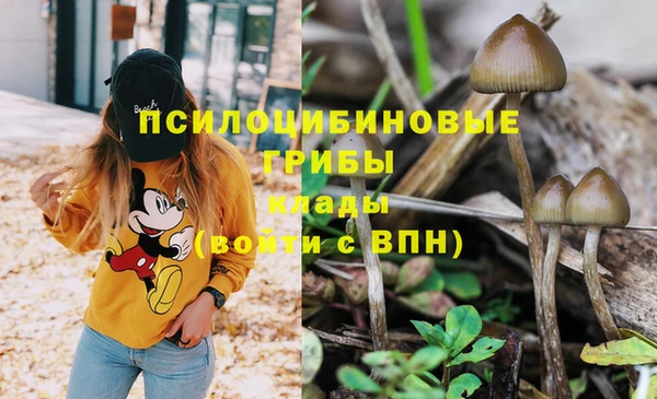 кристаллы Горняк